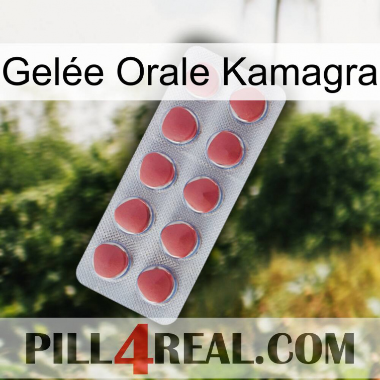 Gelée Orale Kamagra 18